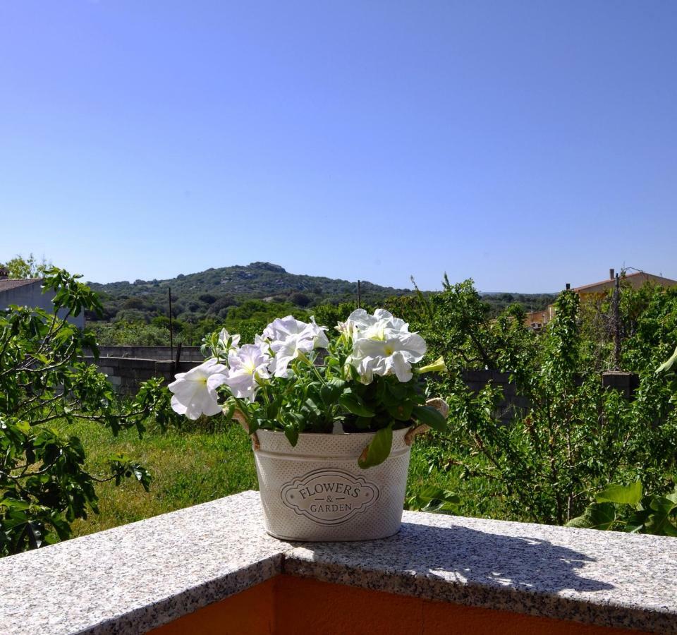 Casa Duminicheddha, Mare E Relax In Gallura Bassacutena المظهر الخارجي الصورة
