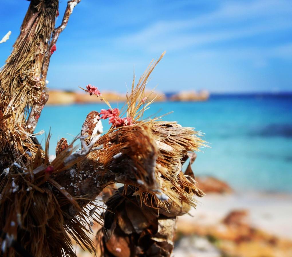 Casa Duminicheddha, Mare E Relax In Gallura Bassacutena المظهر الخارجي الصورة